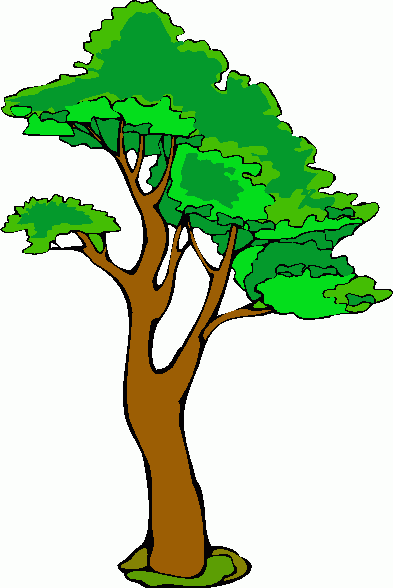 Arti Pohon Psikotes Banyobiroe Seringkali Kita Mengikuti Rangka Tes Kerja